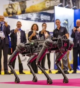 DSEI Exhibition 2025
