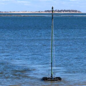 Greensea IQ