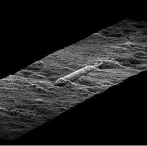 Underwater Optical Systems