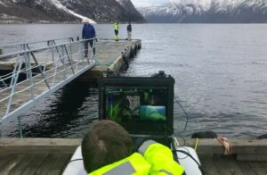 OPENSEA