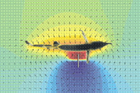 Electric field disturbed by an object