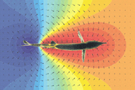Undisturbed electric field