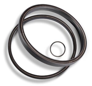 Greene Tweed Canted Coil Rings