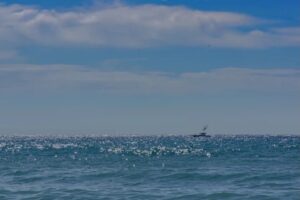 RF Technology for Maritime Border Monitoring in the Alboran Sea